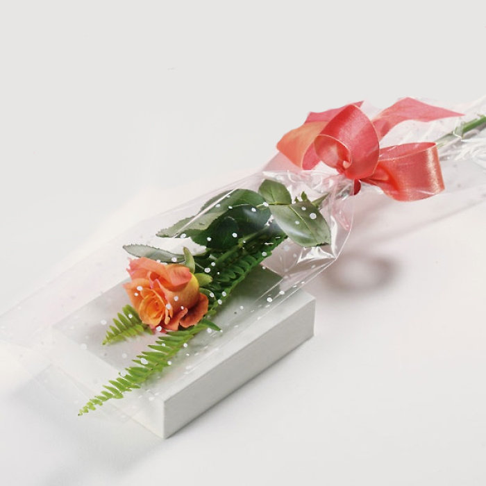 Single Rose-Choose Color