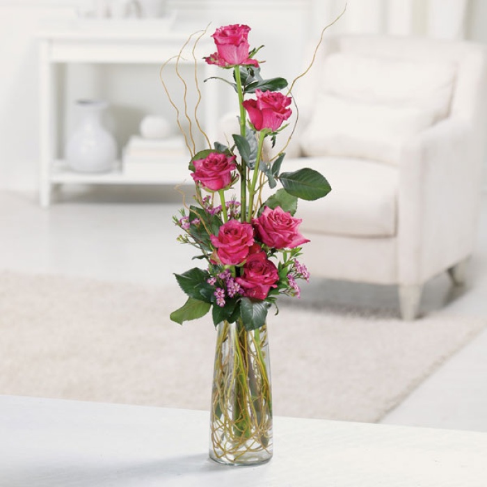 Heavenly Half-Dozen (Choose color)