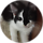 Jupi