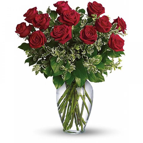 Dozen Red Roses