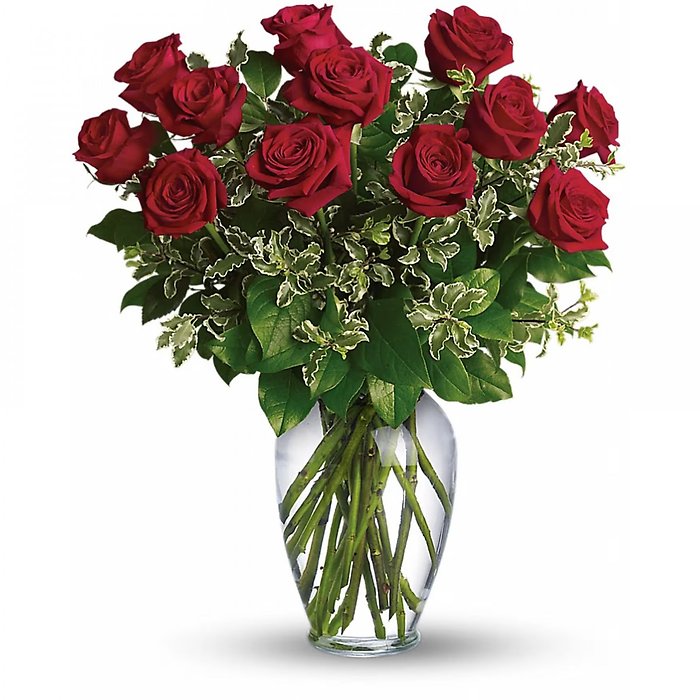 Dozen Red Roses